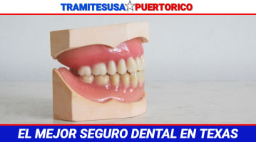 El mejor seguro dental en Texas			 			